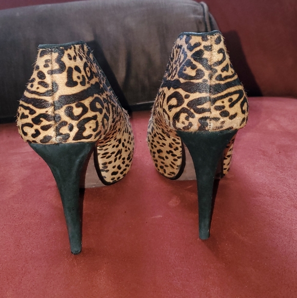Leopard, Hidden Platform Beauties - Picture 3 of 6